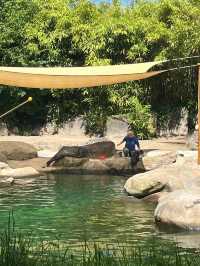 蘇黎世動物園是世界上最好的動物園