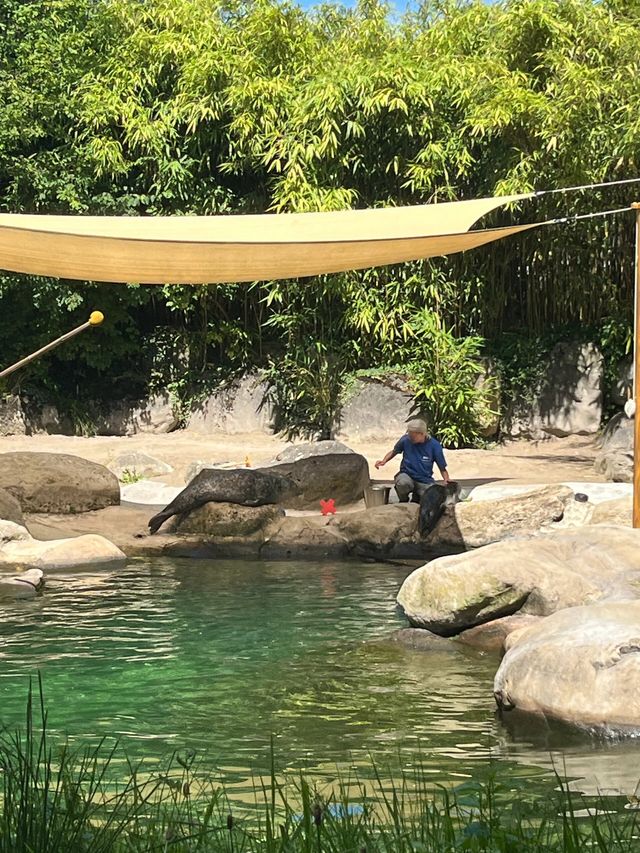 蘇黎世動物園是世界上最好的動物園