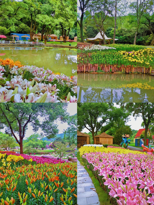 無錫梅園 | 這個4A級景區太值了，賞梅最佳地