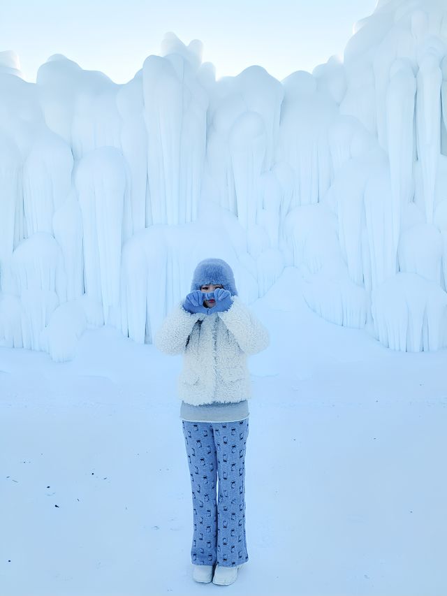 長白山二道白河，雪絨花冰瀑布之旅