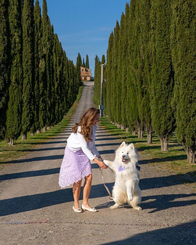 🐾📽️ Life-Changing Adventures with Our Samoyed: Watch the Unforgettable Transformation! 🎥🐶