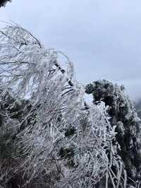 衡山大雪｜來賞霧凇冰雪森林