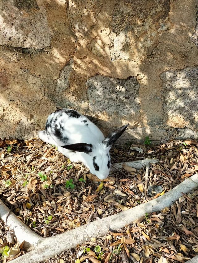 感受這濃濃的鄉火氣息