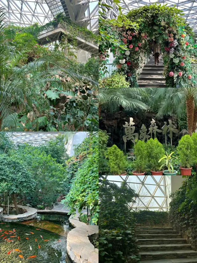 Tangshan Tropical Flair Botanical Garden Tour Guide! Free! Highly recommended!