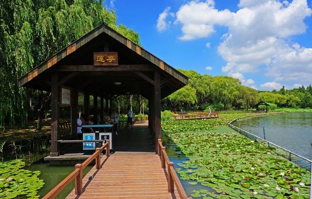 錦繡湖翡翠山免費遊山玩水魔都週末休閒好去處