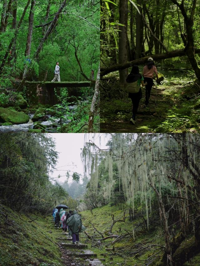 雲南旅遊 | 徒步吧!隱匿在秘境山谷裡的療癒度假空間 雲南旅遊 | 徒步吧!隱匿在秘境山谷裡的療癒度假空間