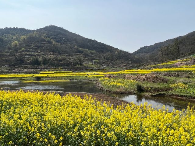 誤入大冶沼山，結果～