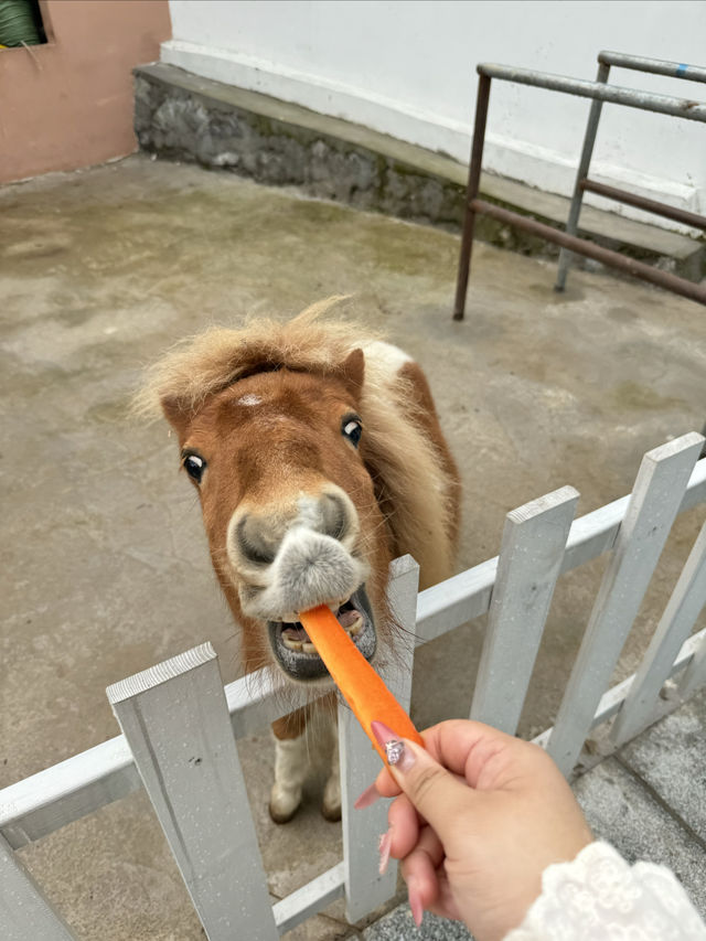 早～被酒店樓下的風景美醒！！