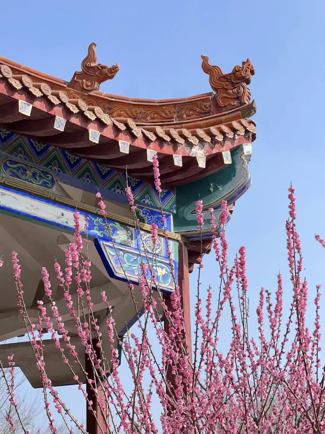 Zhengzhou Spring Outing Guide, parks are your best choice!