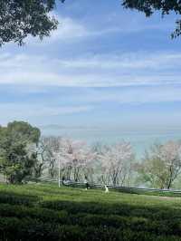 太湖植物園，你不錯過的暢玩南