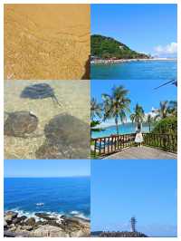 陵水-分界洲島，清水灣帶娃來看玻璃海吧
