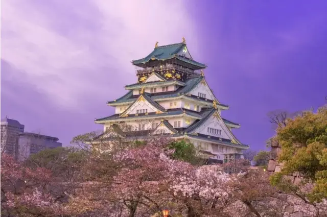 大阪城公園：何百もの桜の花が咲く美しい風景を楽しむ