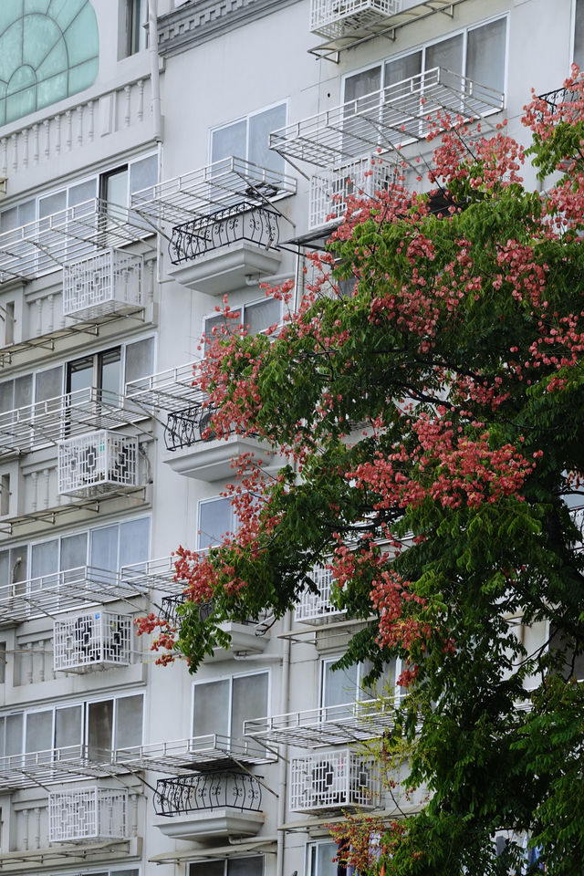 不扎堆、不排隊、這個5A景區免門票