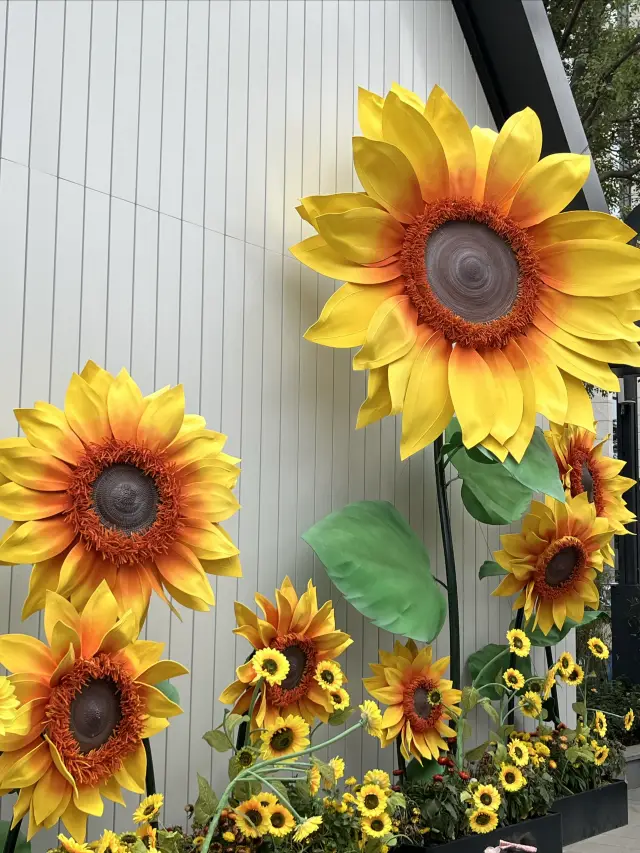 Dutch Flower Town