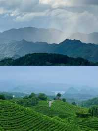 春日出遊|來貴陽神鵲茶場“飲春茶望山川湖泊”