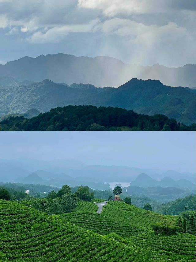 春日出遊|來貴陽神鵲茶場“飲春茶望山川湖泊”