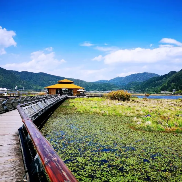 騰沖北海濕地公園-滇西明珠