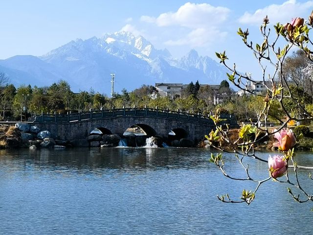 美麗拉市海風光無限好