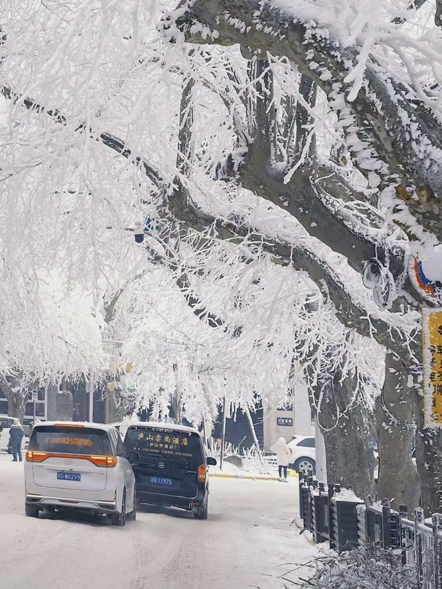 如果你想看這樣的廬山雪景，就聽我10句勸！