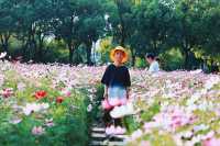 帶娃逛大學第①站——華東政法大學