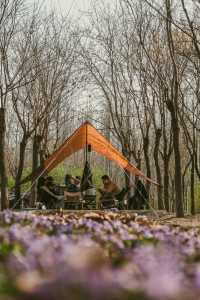 春日露營｜人均不過百的營地竟然很好