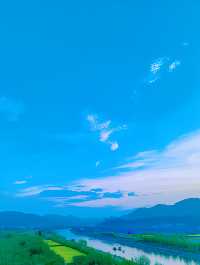 杭州油菜花海：金色海洋，心靈療癒之地！