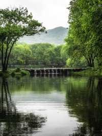 杭州一下雨，我就往這跑