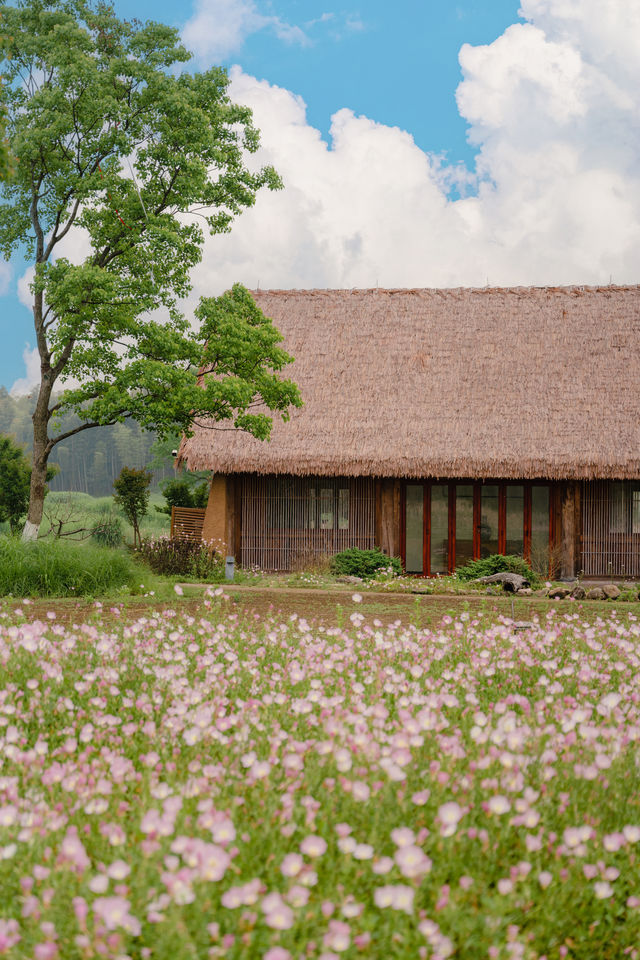 The early summer beauty of Liangzhu in Hangzhou is absolutely stunning, akin to the idyllic countryside depicted in comics.