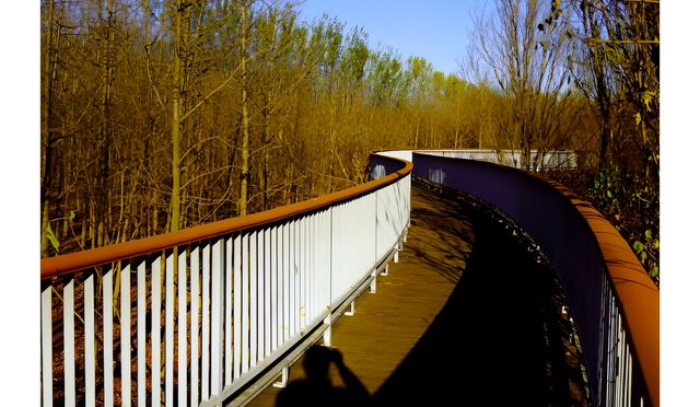 天津津北森林公園