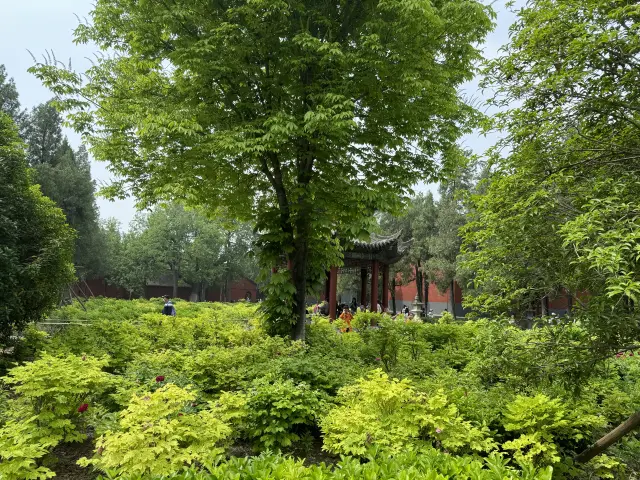 The White Horse Temple