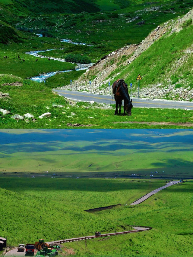 救命啊！新疆的景色真是太絕了啊！