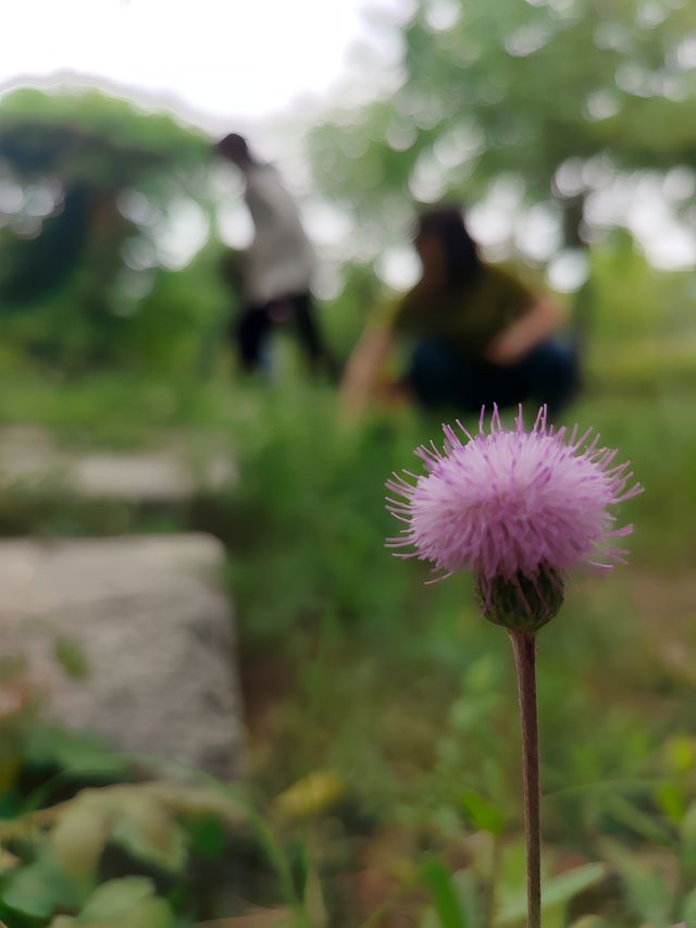 鄭州性價比超高的轟趴莊園