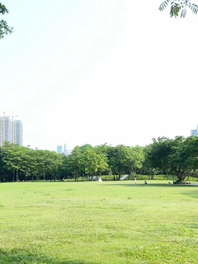 必去！不花錢！深圳公園天花板！