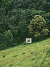 德陽 綿竹一日遊