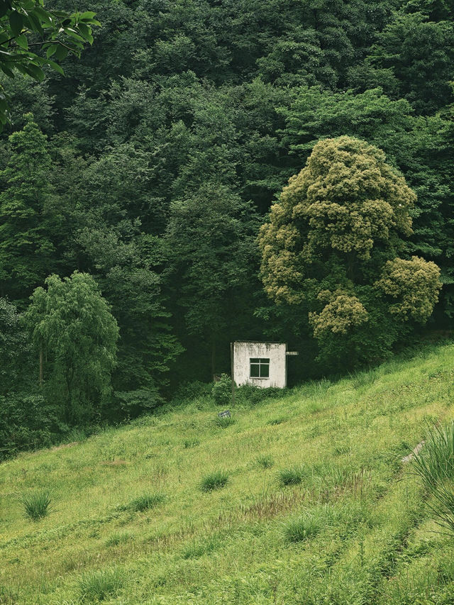 德陽 綿竹一日遊 德陽 綿竹一日遊