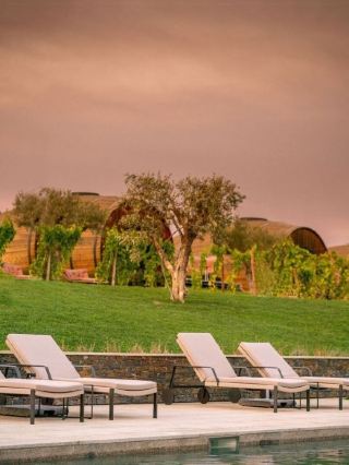 🍷🏨 Vino Views & Plush Stays in Portugal 🌟
