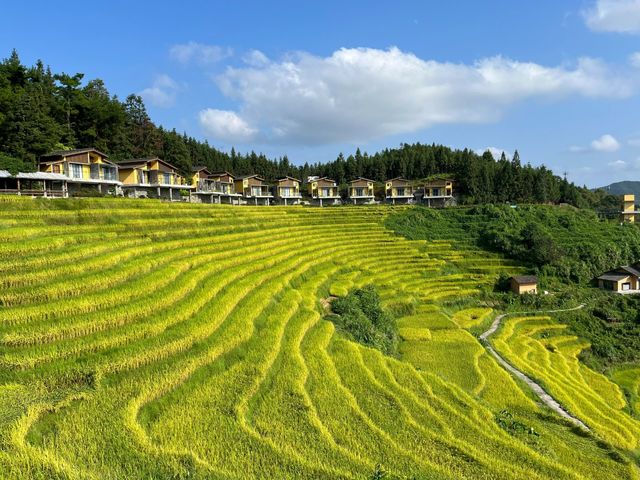 「世界的梯田，客家的梯田」分享上堡梯田之旅