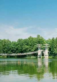 九曲橋美景，東湖落雁島的攝影天堂