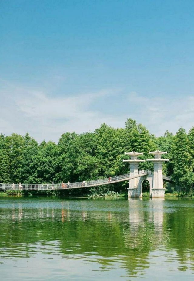 九曲橋美景，東湖落雁島的攝影天堂