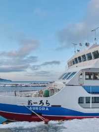 下次旅行去哪裡｜北海道知床可以嗎