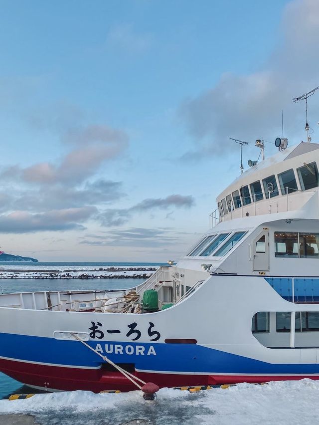 下次旅行去哪裡｜北海道知床可以嗎