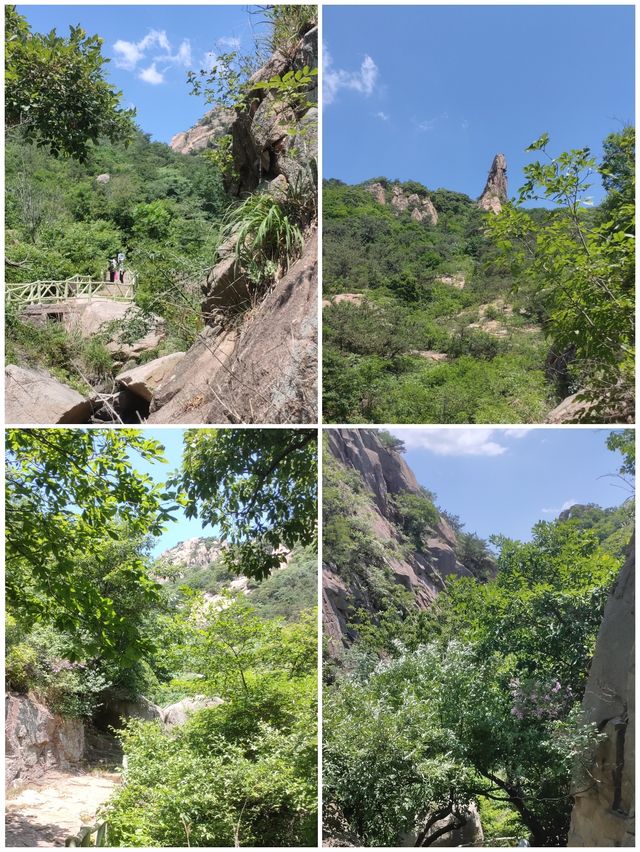 招虎山植物王國