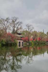 成都地鐵直達免費公園！海棠花已到最佳賞期