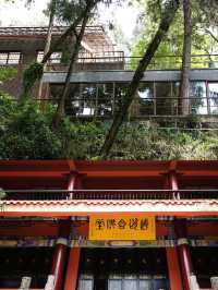 樂至報國寺一-佛在石中