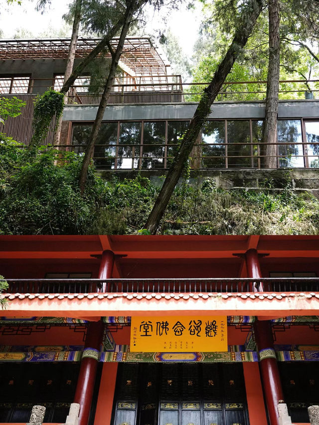 樂至報國寺一-佛在石中