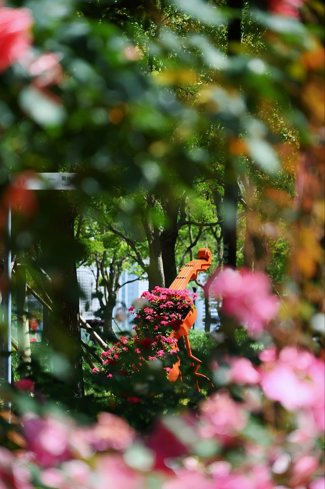在上海永遠不缺人少景美的免費公園