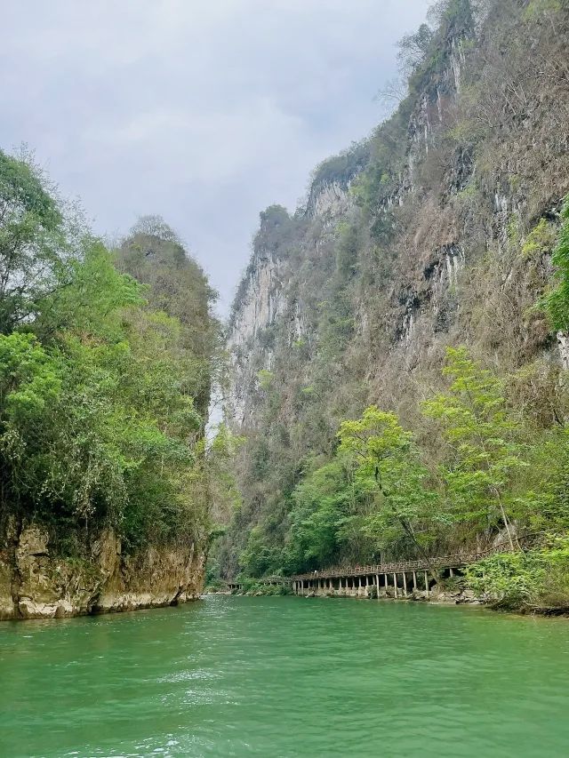 貴州寶藏旅行地 |_紫雲格凸河風景名勝區
