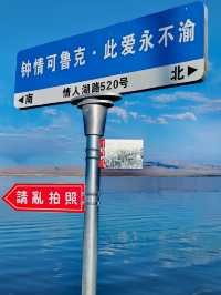 青海行11