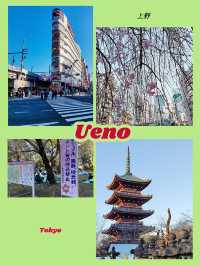 東京景點｜上野Ueno
