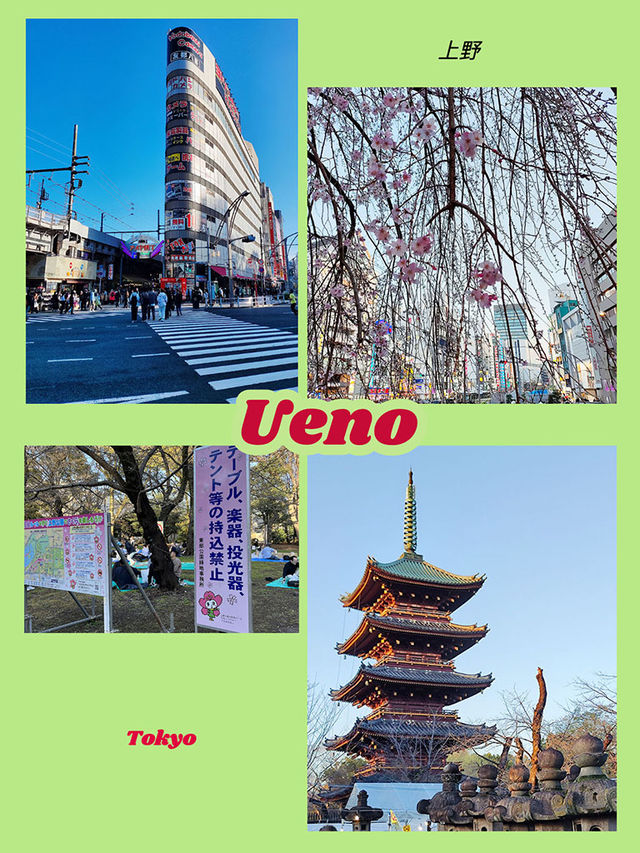 東京景點｜上野Ueno